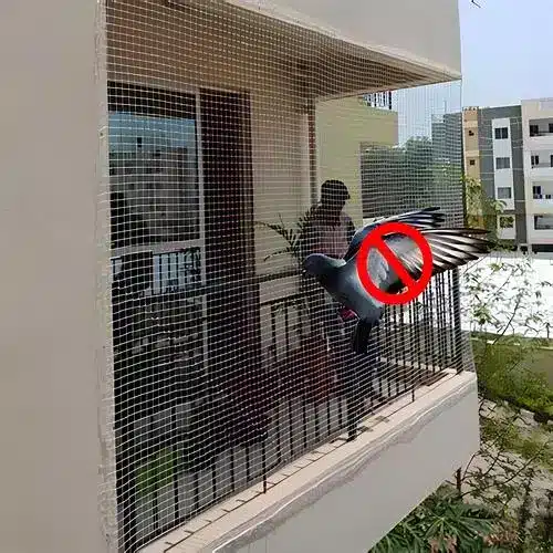 Bird Netting Services in Hyderabad - NSV Safety Solutions