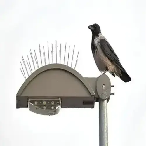 Bird Spikes for Pigeons in Hyderabad - NSV Safety Solutions