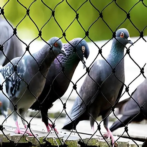 Pigeon Net for Balcony in Hyderabad - NSV Safety Solutions