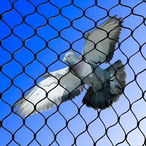 Pigeon Safety Nets in Ameerpet and Miyapur - NSV Safety Solutions
