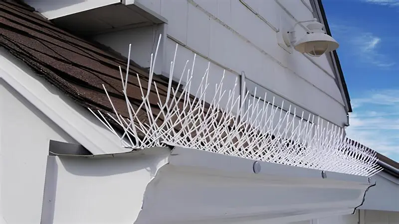 Projects by NSV Safety Solutions - Bird Spikes