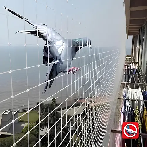 Top Quality Anti Bird Nets in Ameerpet and Miyapur - NSV Safety Solutions