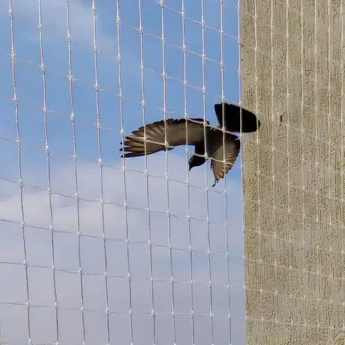 Top Quality Bird Net for Balcony in Ameerpet and Miyapur - NSV Safety Solutions