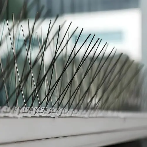 Top Quality Bird Spikes for Pigeons in Hyderabad - NSV Safety Solutions